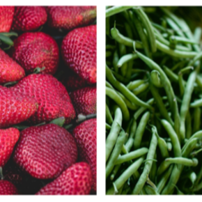 Nutrition Information